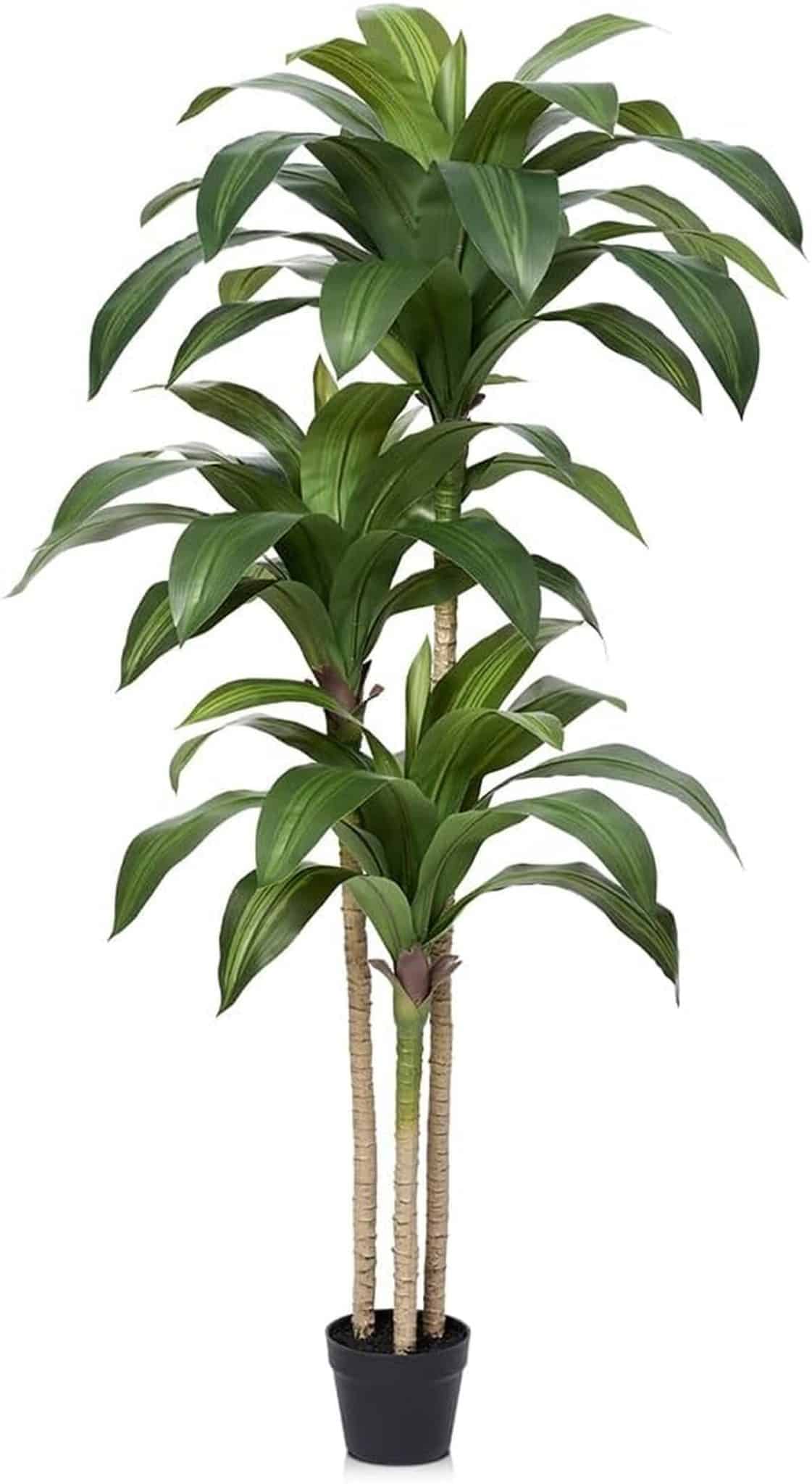 Avis sur la plante artificielle VeriNatural Dracaena : déco sans entretien