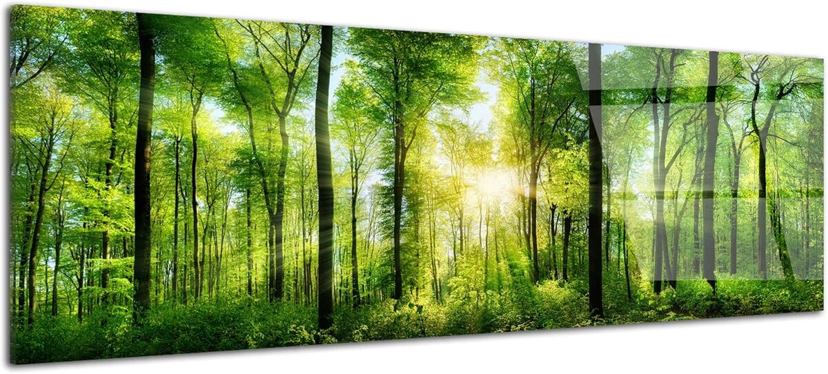 Avis sur le tableau design Declina : forêt verte en verre acrylique